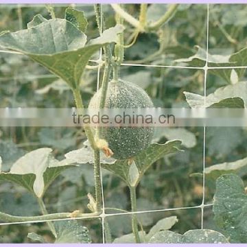 Vegetable Climbing Plant Support Mesh