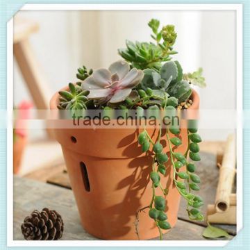 unique design terracotta Breathing flower Pot terracotta bonsai pot planter