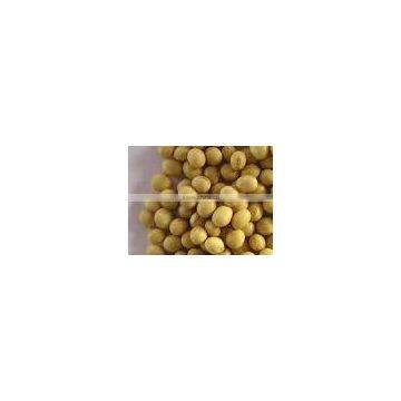 Soybean Extract Powder 30:1