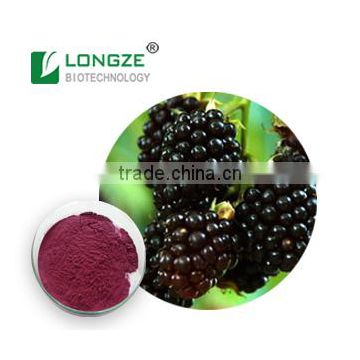 Good Water Soluble Anti-oxidant Blackberry Extract Powder with Anthocyanidins 25% ,Anthocyanins 1-25%
