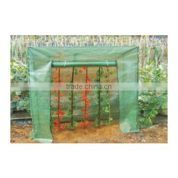 Hot Selling Green House