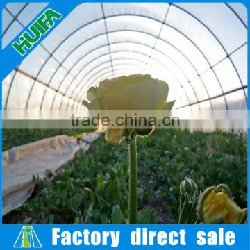 Large Glass Agricultural Greenhouses Used Type