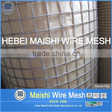 1/2''x1/2'' welded wire mesh