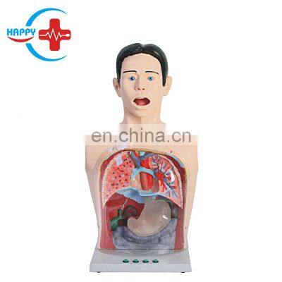 HC-S122 Advanced Half body transparent gastric lavage model/Medical nursing manikin for gastric lavage