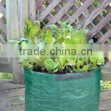 Environmental Friendly PE Salad Growing Bag,Reusable Salad Planter Bags,Salad Planters