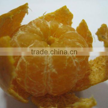 top grade sweet satsuma mandarin