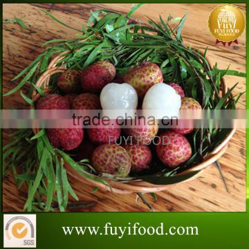export healthy chinese bulk lychee