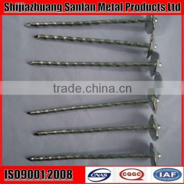 electo-galvanized roofing nails