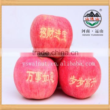 Bulk Fresh Organic YUANSHAN Apples Wholesale