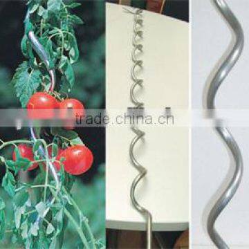 Climbing plant support