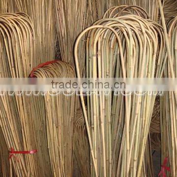 U shape bamboo canes