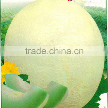 YinMi No.2 white skin high-value commodity f1 melon seeds