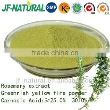 rosemary plant extract