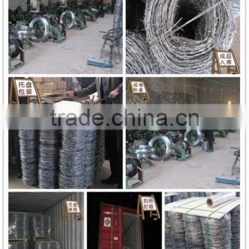 factory export Corea galvanized barbed wire Korea barbed wire coil