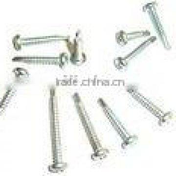 SS self drilling screw