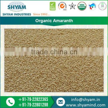 100 % Pure Organically Grown Amaranth at Best Selling Price
