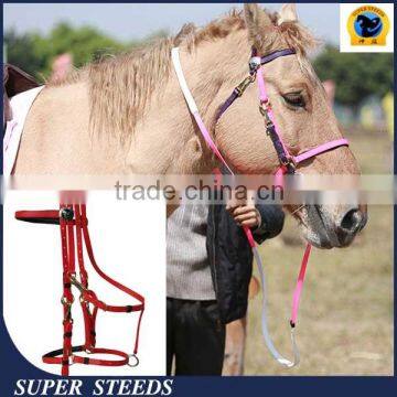 cheap horse bridles in high quality hot sale