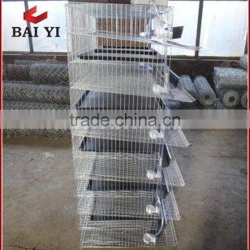 A Type Quail Cage For Hot Sale