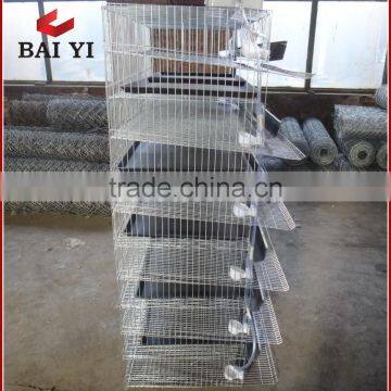 High Quality Assemble Quail Cage