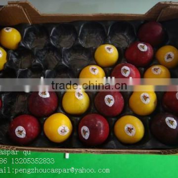 China Professional Manufacturer&Exporter Cheap Food Grade Disposable Soft Thin Plastic Serving PP Fruit Tray