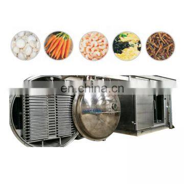 Hot sale apple food freeze drying equipment industrial lyophilizer