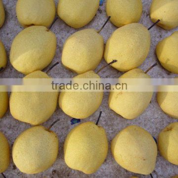 Chinese fresh high quality Ya pear