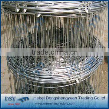 Hot galvanized field fence factory direct sale galvanized field fence cheap callte fence