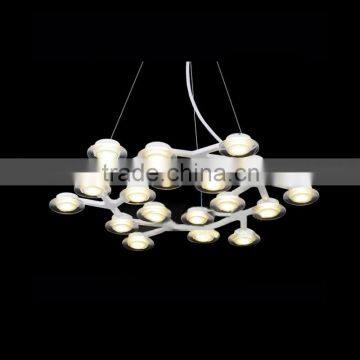 Modern LED Pendant Lamp (HS30192D)