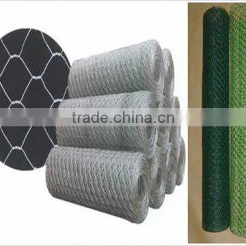 cheap Galvanized Hexagonal Wire Netting, 1/2 to 1 Inch