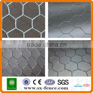Galvanizedpvc coated chicken wire poultry mesh(ISO9001:2008 professional manufacturer)