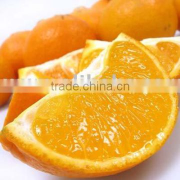 New Year 2017 Special Offer - [super Deal] Fresh Kinnow Mandarin Oranges