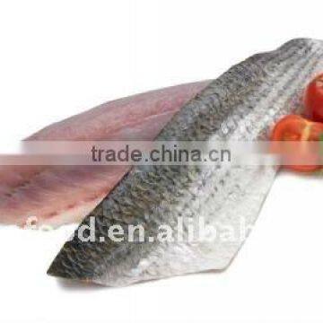 IQF frozen grey mullet fillets