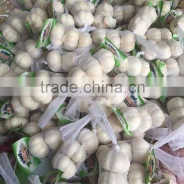 China garlic pric