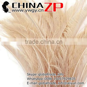 ZPDECOR Top Quality Plumage Wholesale Fabric Cocktail Dress Dyed Ivory Peacock Sword Feathers
