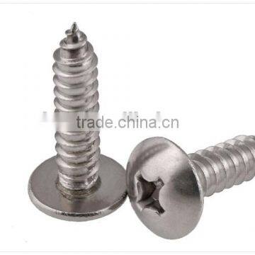 din968 self tapping screw/cross pan head self tapping/stainless steel din968