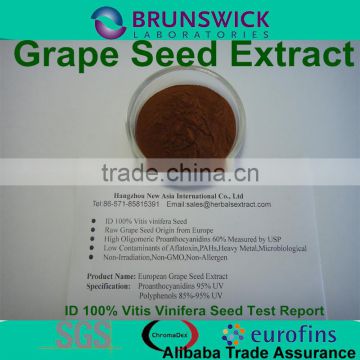 Natural Grape Seed Extract with ID 100% Vitis vinifera,OPCs 95% USP Grade,Low Pesticides,Aflatoxin,PAHs