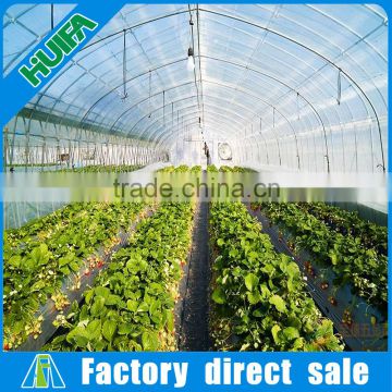 PE Plastic single span low cost greenhouse for agriculture