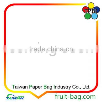 Kiwi fruit growing paper bag Packaging Bag Cover bag