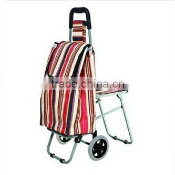Folding Shopping Carts/Shopping Trolley Bags
