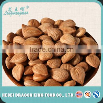 100% Nature Sweet Apricot Seeds