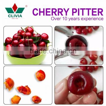 YS-1 manual cherry pitter with nutcracker