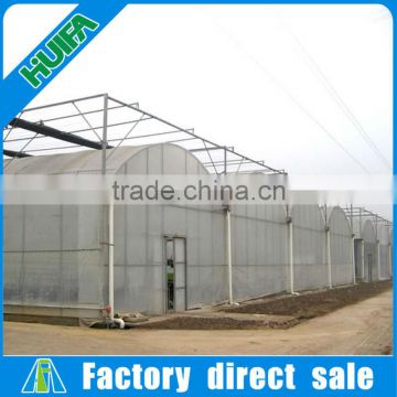 Plastic Sheet Covering Greenhouse Construction on Sale