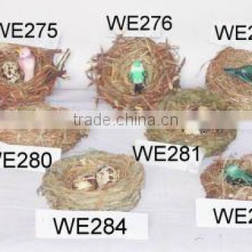 bird egg craft