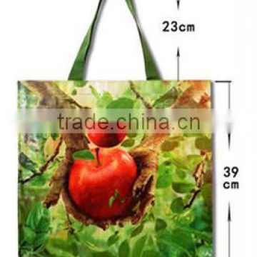 New Design Laminated PP Woven Toto Bag for Shopping