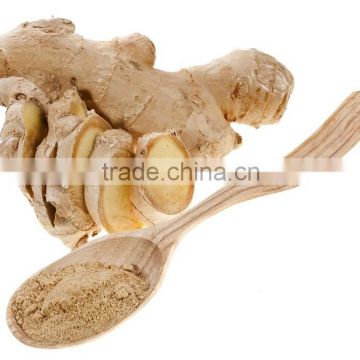 natural ginger root extract powder with high quality and competitive price