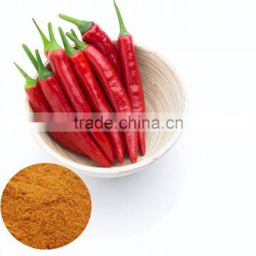 Zhenjiang wholesale paprika powder