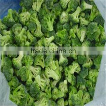 frozen broccoli grade A new season IQF broccoli florets
