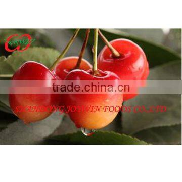 Canned fresh cherry in syrup whole sale manufacturer price