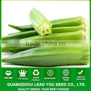 NOK01 Siqu hybrid okra seeds,okra seed price