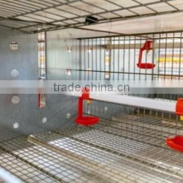 Pullets raising cage